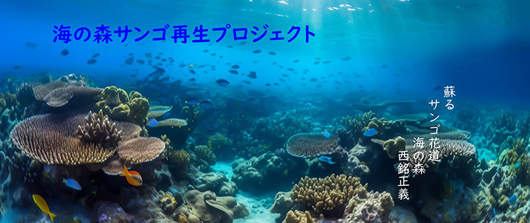 海の森サンゴ再生プロジェクト